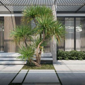 Ngoại thất và sân vườn